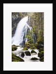 Golling Waterfall in Autumn by Anonymous