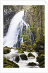 Golling Waterfall in Autumn by Anonymous