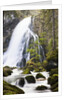 Golling Waterfall in Autumn by Anonymous
