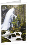 Golling Waterfall in Autumn by Anonymous