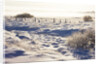 Frost and First Snow on Meadow by Anonymous