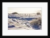 Frost and First Snow on Meadow by Anonymous