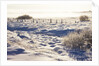 Frost and First Snow on Meadow by Anonymous