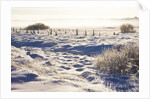 Frost and First Snow on Meadow by Anonymous