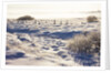 Frost and First Snow on Meadow by Anonymous