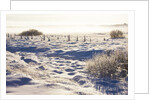 Frost and First Snow on Meadow by Anonymous