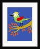 Green Bird by Anonymous