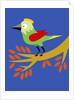 Green Bird by Anonymous
