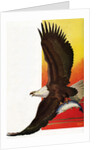 Illustration of Flying Bald Eagle Holding Salmon in Claws by Stark Davis