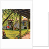 Illustration of Backyard by Anonymous