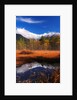 Mountains, autumn colors and lake by Anonymous