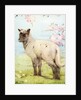 Illustration of Lamb by Edward Julius Detmold