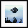 Island in Lake Tahoe by Anonymous