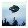 Island in Lake Tahoe by Anonymous