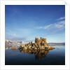 Rock Formations in Mono Lake by Anonymous