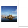 Rock Formations in Mono Lake by Anonymous