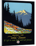 Protect the Wild Flowers Poster by Anonymous