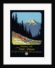 Protect the Wild Flowers Poster by Anonymous