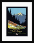 Protect the Wild Flowers Poster by Anonymous