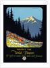 Protect the Wild Flowers Poster by Anonymous