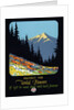 Protect the Wild Flowers Poster by Anonymous