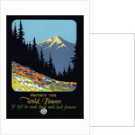 Protect the Wild Flowers Poster by Anonymous
