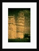 Pisa Tower by Andre Burian