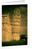 Pisa Tower by Andre Burian