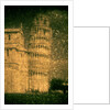 Pisa Tower by Andre Burian