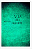 Via dei Banchi by Andre Burian