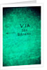 Via dei Banchi by Andre Burian