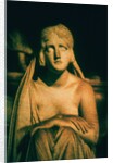 Roman Statue by Andre Burian