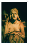 Roman Statue by Andre Burian
