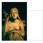 Roman Statue by Andre Burian