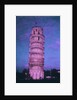 Pisa Tower by Andre Burian