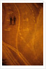 Two People and Avenue by Andre Burian