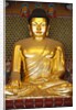 Statue of Sakyamuni Buddha in Main Hall of Jogyesa Temple by Anonymous