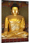 Statue of Sakyamuni Buddha in Main Hall of Jogyesa Temple by Anonymous