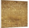 Dry Grass by Anonymous