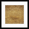 Dry Grass by Anonymous