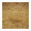 Dry Grass by Anonymous