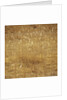 Dry Grass by Anonymous