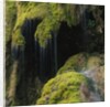 Water Running down Vegetation Covered Rocks by Anonymous