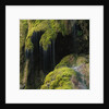 Water Running down Vegetation Covered Rocks by Anonymous