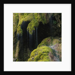 Water Running down Vegetation Covered Rocks by Anonymous