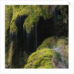 Water Running down Vegetation Covered Rocks by Anonymous