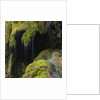 Water Running down Vegetation Covered Rocks by Anonymous