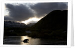 Grizzly Bear Hunting in River at Kinak Bay at Sunset by Anonymous