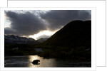 Grizzly Bear Hunting in River at Kinak Bay at Sunset by Anonymous