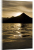 Hallo Bay at Sunset in Katmai National Park by Anonymous